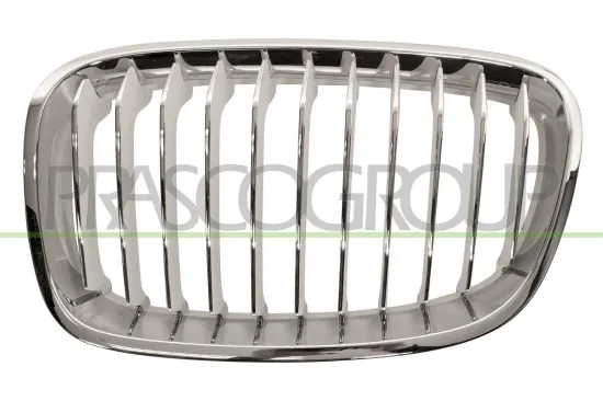 Kühlergitter links PRASCO BM1232014 Bild Kühlergitter links PRASCO BM1232014
