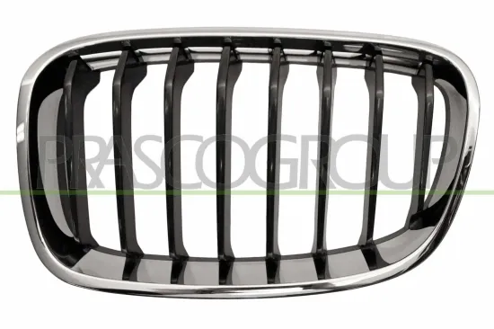 Kühlergitter links PRASCO BM1232024 Bild Kühlergitter links PRASCO BM1232024