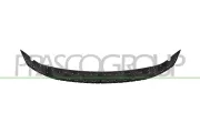 Spoiler vorne PRASCO BM1291801