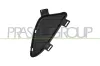 Blende, Sto&szlig;f&auml;nger vorne links PRASCO BM2012126