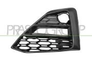 Lüftungsgitter, Stoßfänger vorne links PRASCO BM2032124
