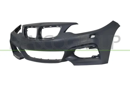 Stoßfänger vorne PRASCO BM2521021 Bild Stoßfänger vorne PRASCO BM2521021