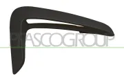 Zier-/Schutzleiste, Kotflügel vorne rechts PRASCO BM3901423