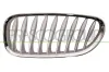 Kühlergitter links PRASCO BM6242014