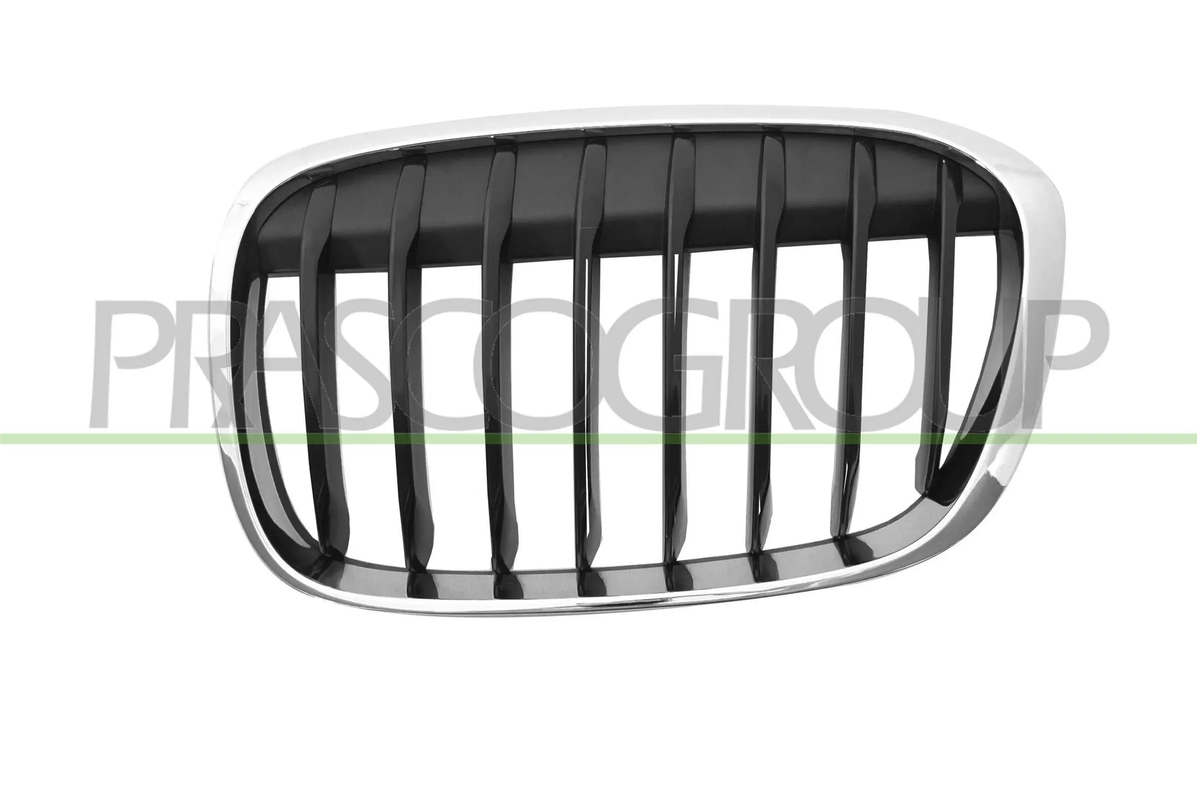 Kühlergitter links PRASCO BM7072014