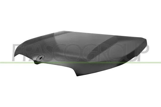 Motorhaube PRASCO BM7103100 Bild Motorhaube PRASCO BM7103100
