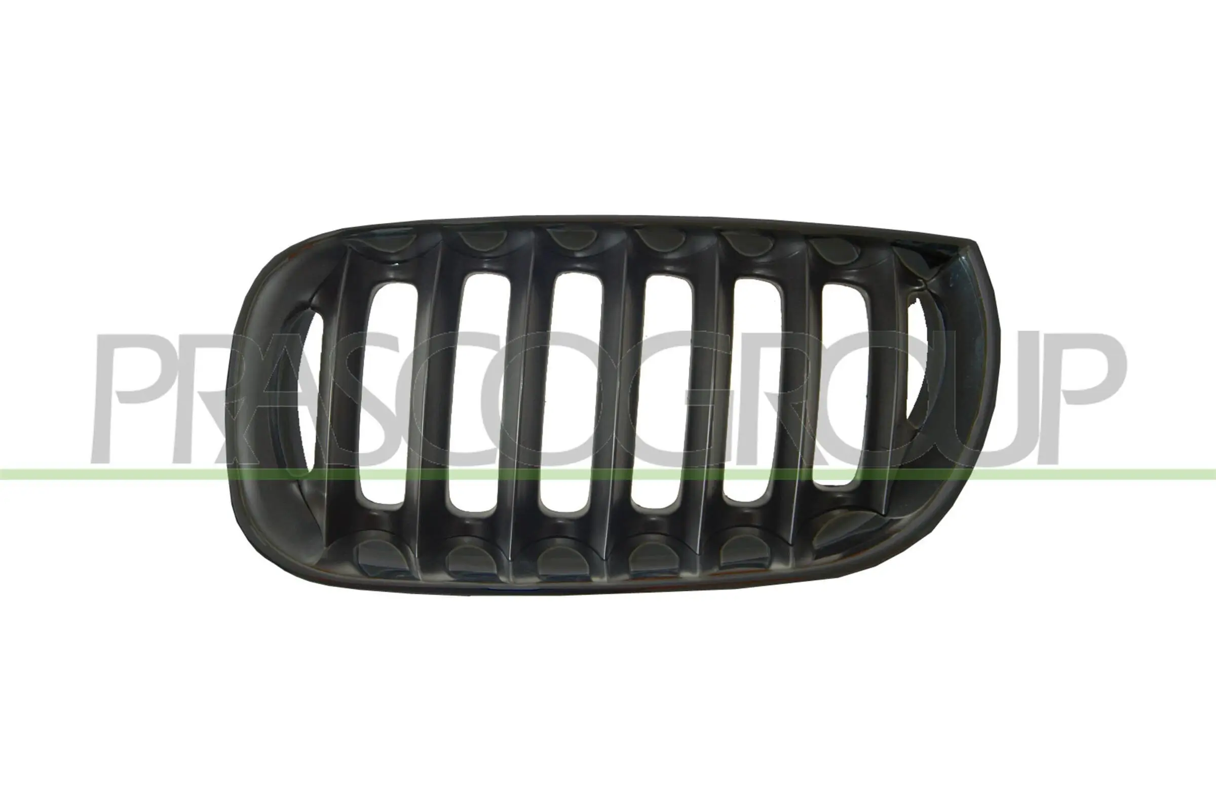 Kühlergitter links PRASCO BM8022014