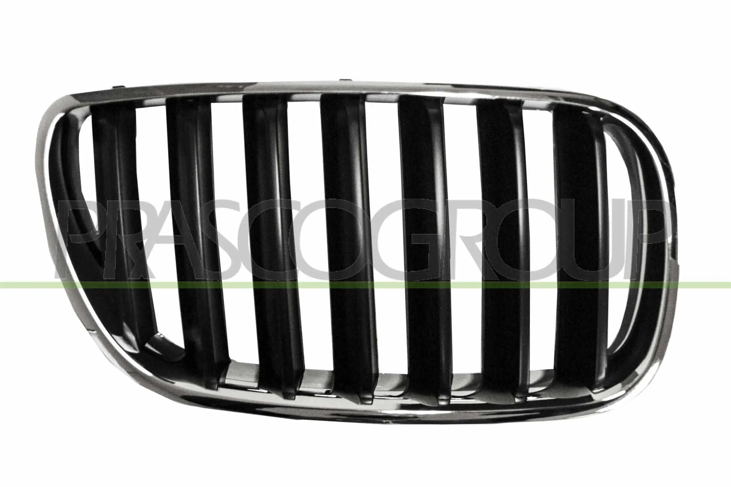 Kühlergitter rechts PRASCO BM8032003