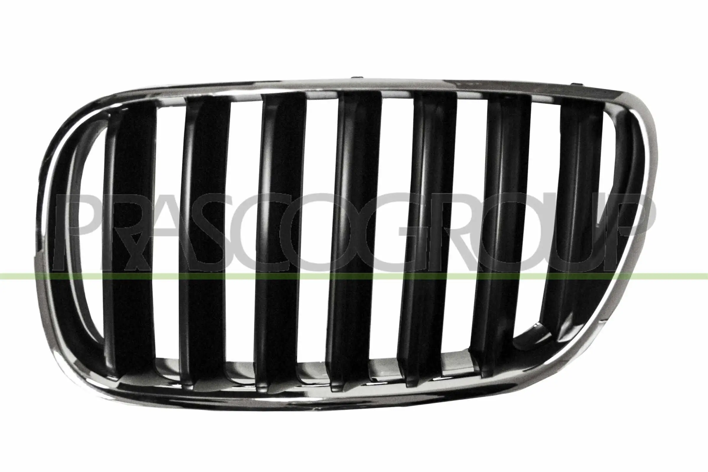 Kühlergitter links PRASCO BM8032004