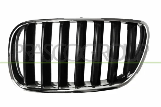 Kühlergitter links PRASCO BM8032004 Bild Kühlergitter links PRASCO BM8032004