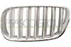Kühlergitter links PRASCO BM8032014