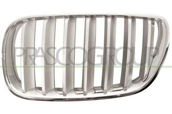 Kühlergitter links PRASCO BM8032014 Bild Kühlergitter links PRASCO BM8032014
