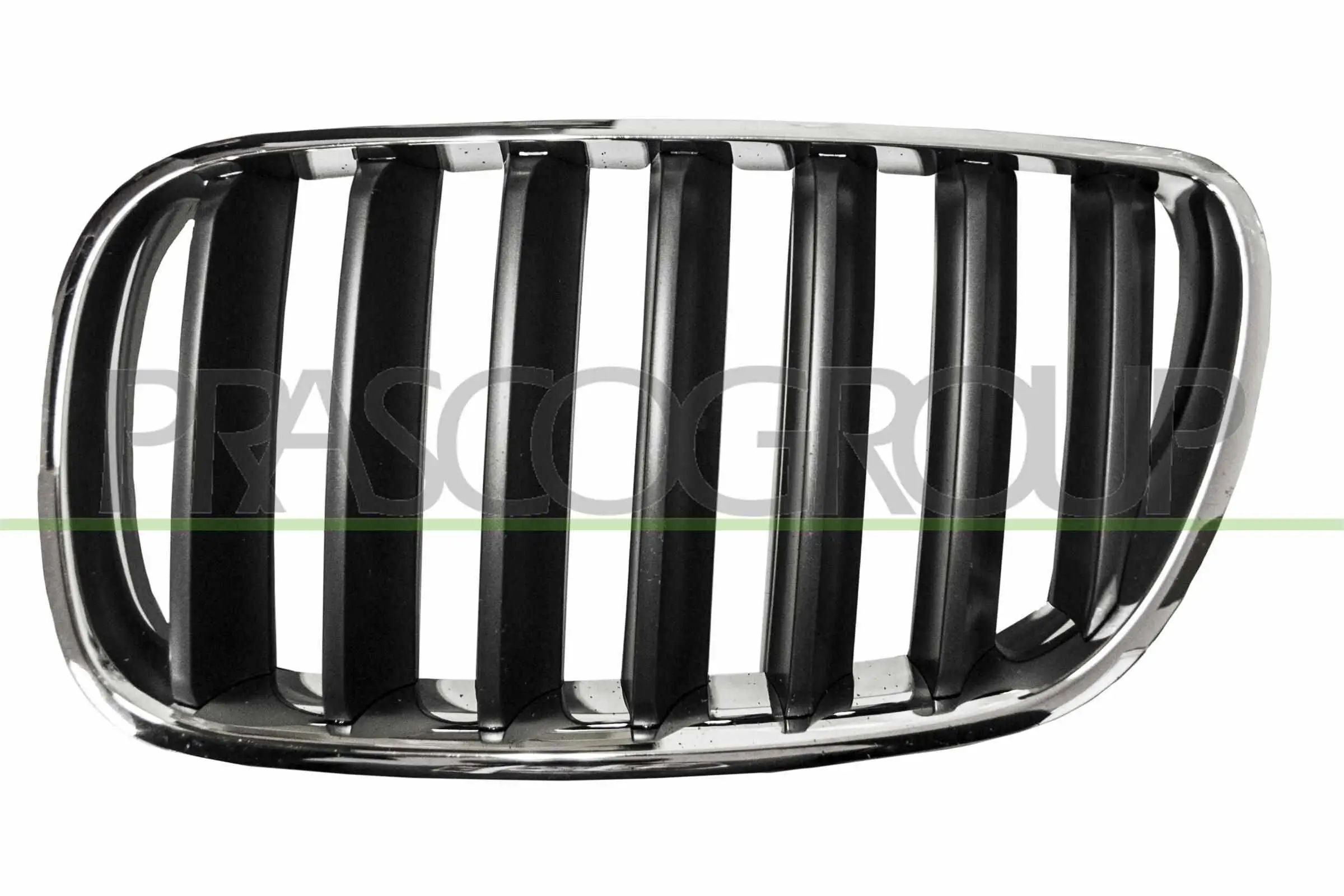 Kühlergitter links PRASCO BM8032024