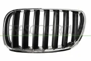 Kühlergitter links PRASCO BM8032024