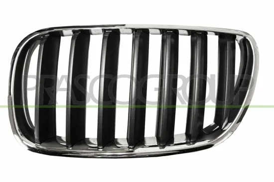 Kühlergitter links PRASCO BM8032024 Bild Kühlergitter links PRASCO BM8032024