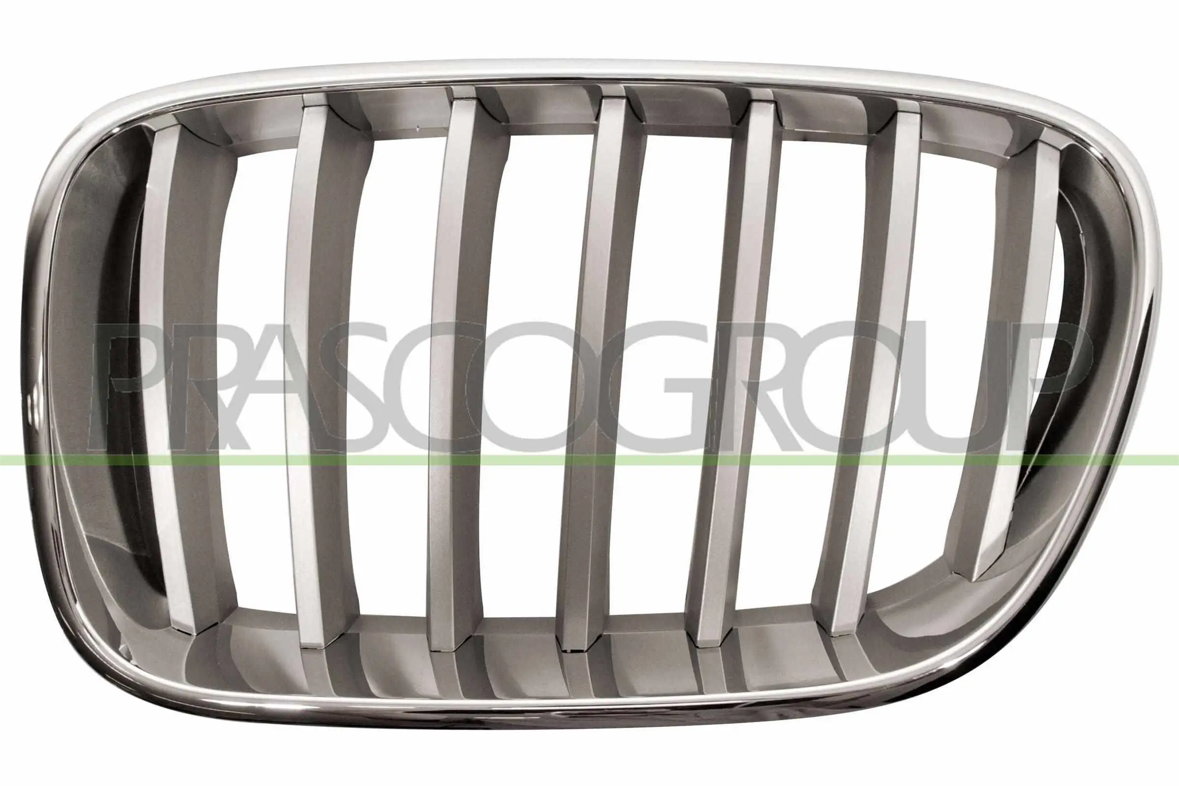 Kühlergitter links PRASCO BM8042014