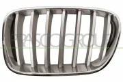 Kühlergitter links PRASCO BM8042014