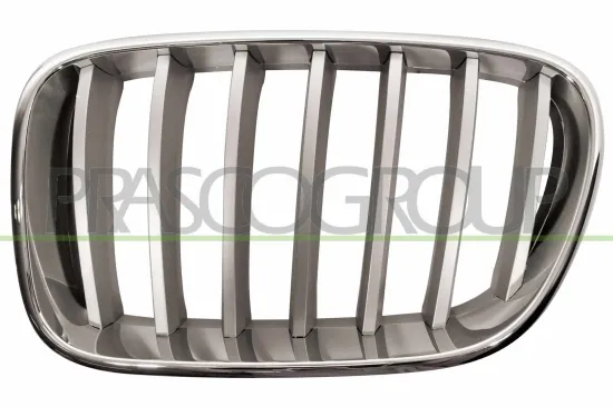 Kühlergitter links PRASCO BM8042014 Bild Kühlergitter links PRASCO BM8042014