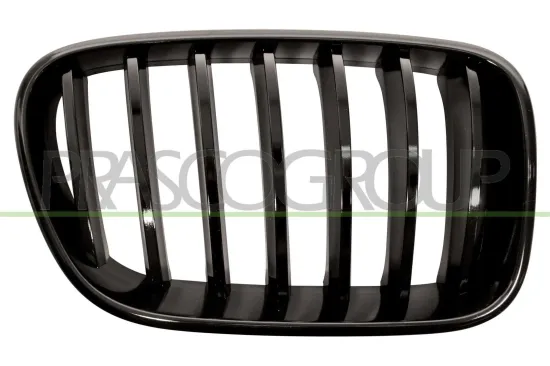 Kühlergitter rechts PRASCO BM8052003 Bild Kühlergitter rechts PRASCO BM8052003