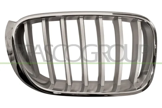 Kühlergitter rechts PRASCO BM8062013 Bild Kühlergitter rechts PRASCO BM8062013