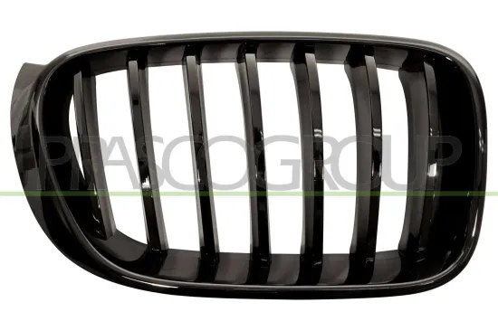 Kühlergitter rechts PRASCO BM8072003 Bild Kühlergitter rechts PRASCO BM8072003