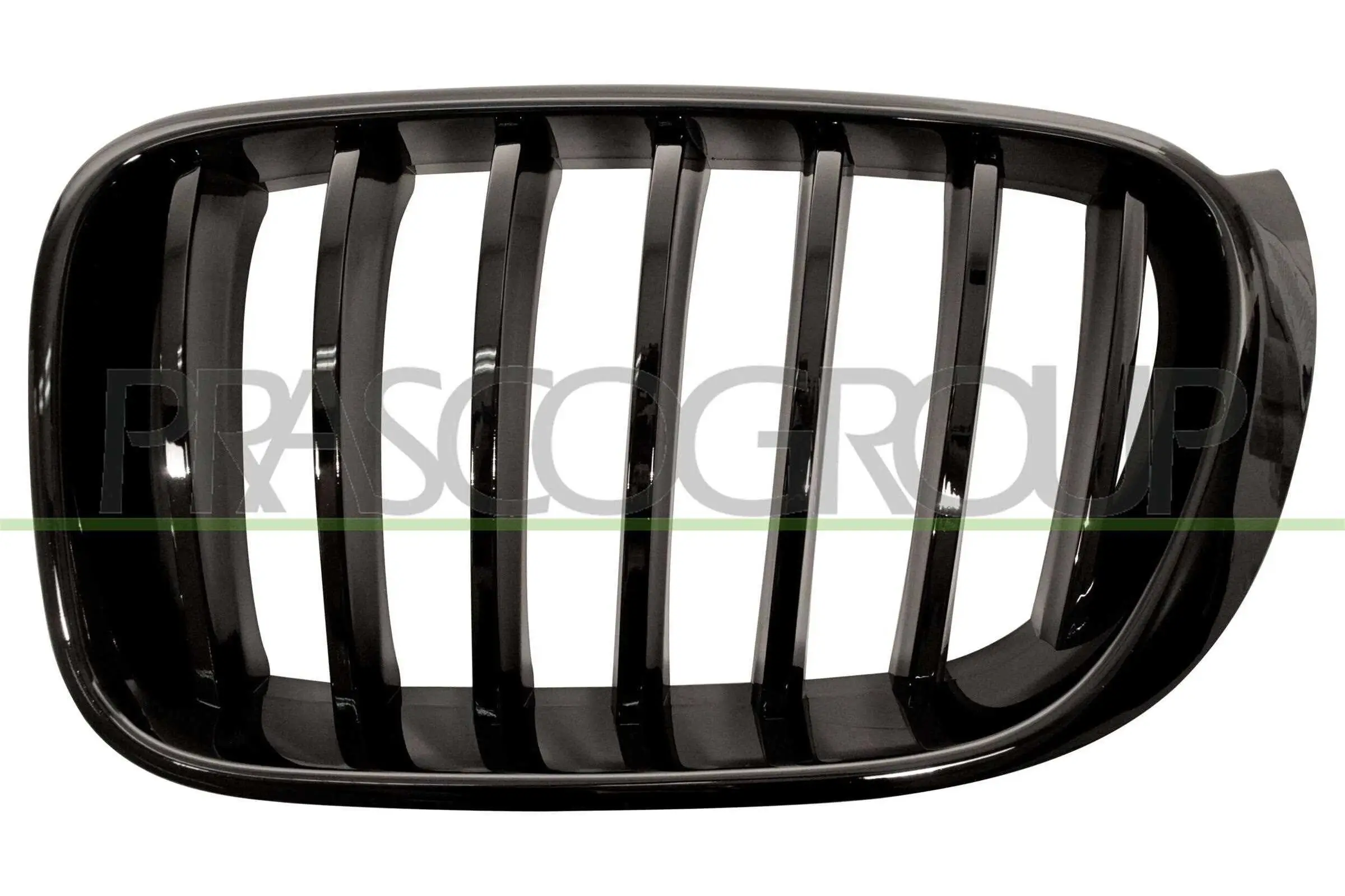 Kühlergitter links PRASCO BM8072004