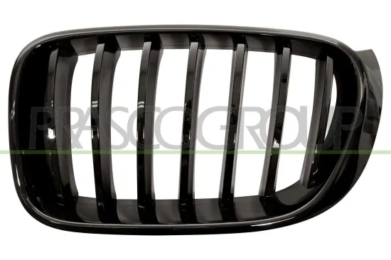 Kühlergitter links PRASCO BM8072004 Bild Kühlergitter links PRASCO BM8072004