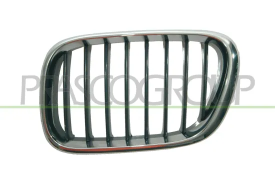 Kühlergitter links PRASCO BM8202004 Bild Kühlergitter links PRASCO BM8202004