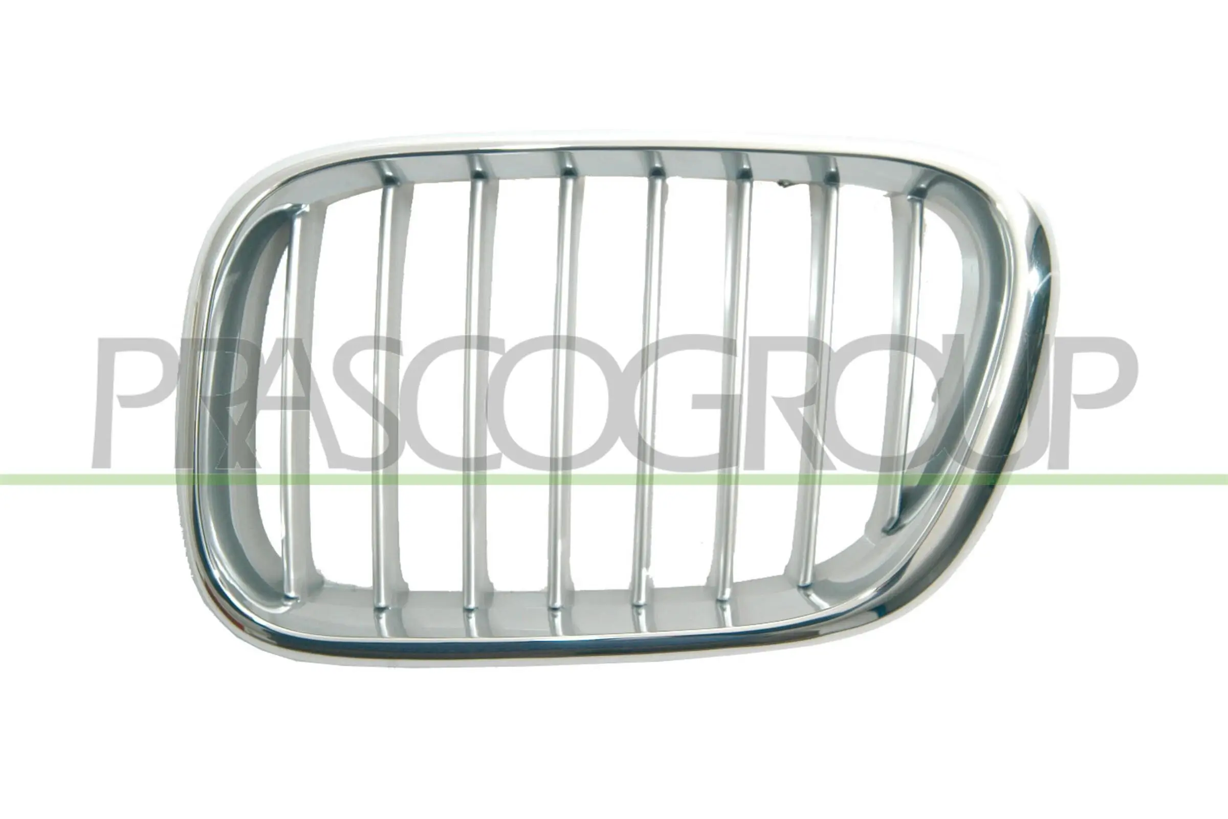 Kühlergitter links PRASCO BM8202014