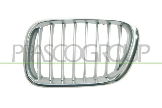 Kühlergitter links PRASCO BM8202014 Bild Kühlergitter links PRASCO BM8202014