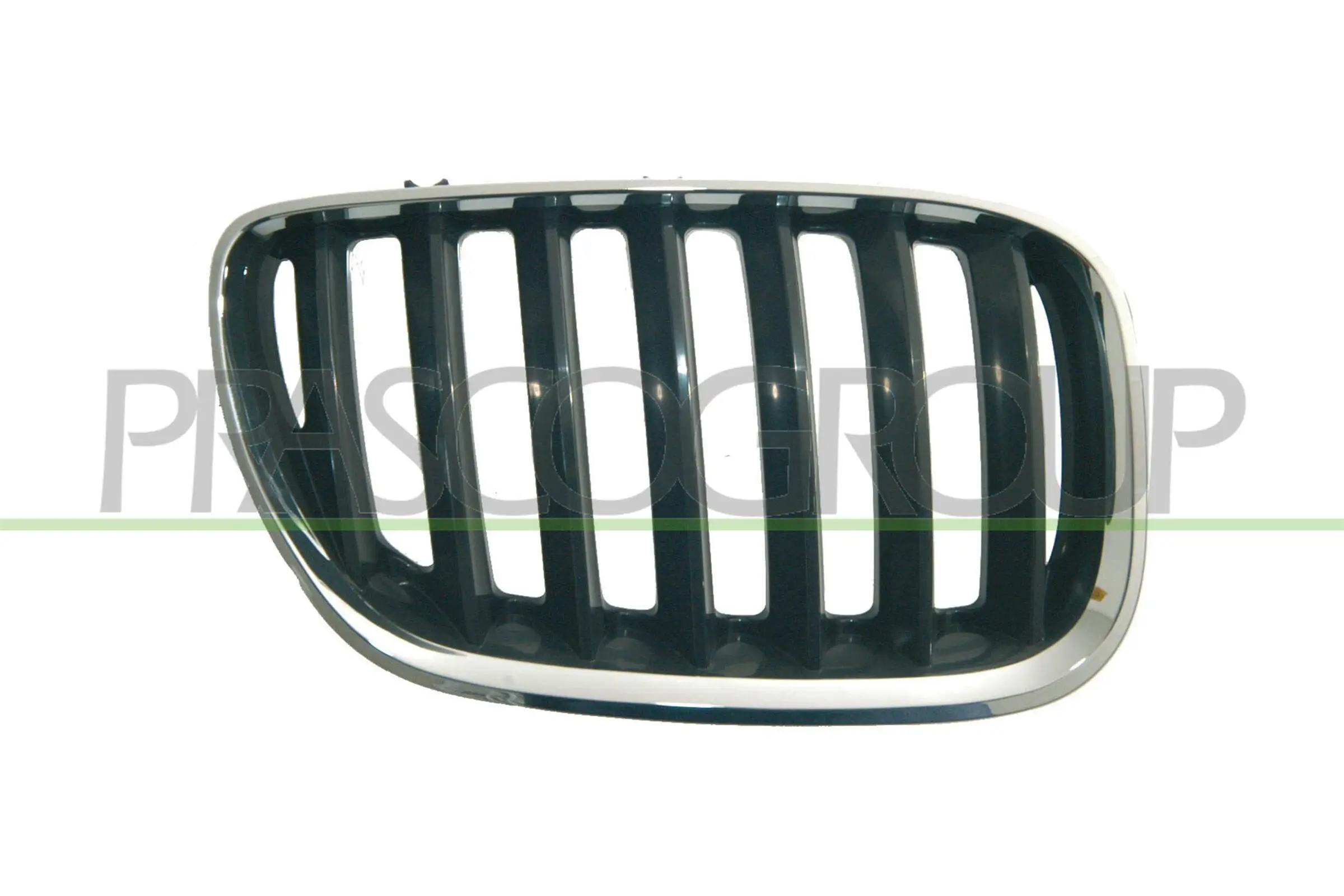 Kühlergitter rechts PRASCO BM8202023