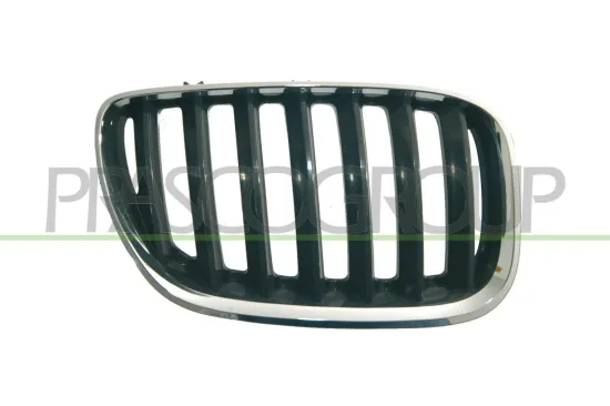 Kühlergitter rechts PRASCO BM8202023 Bild Kühlergitter rechts PRASCO BM8202023