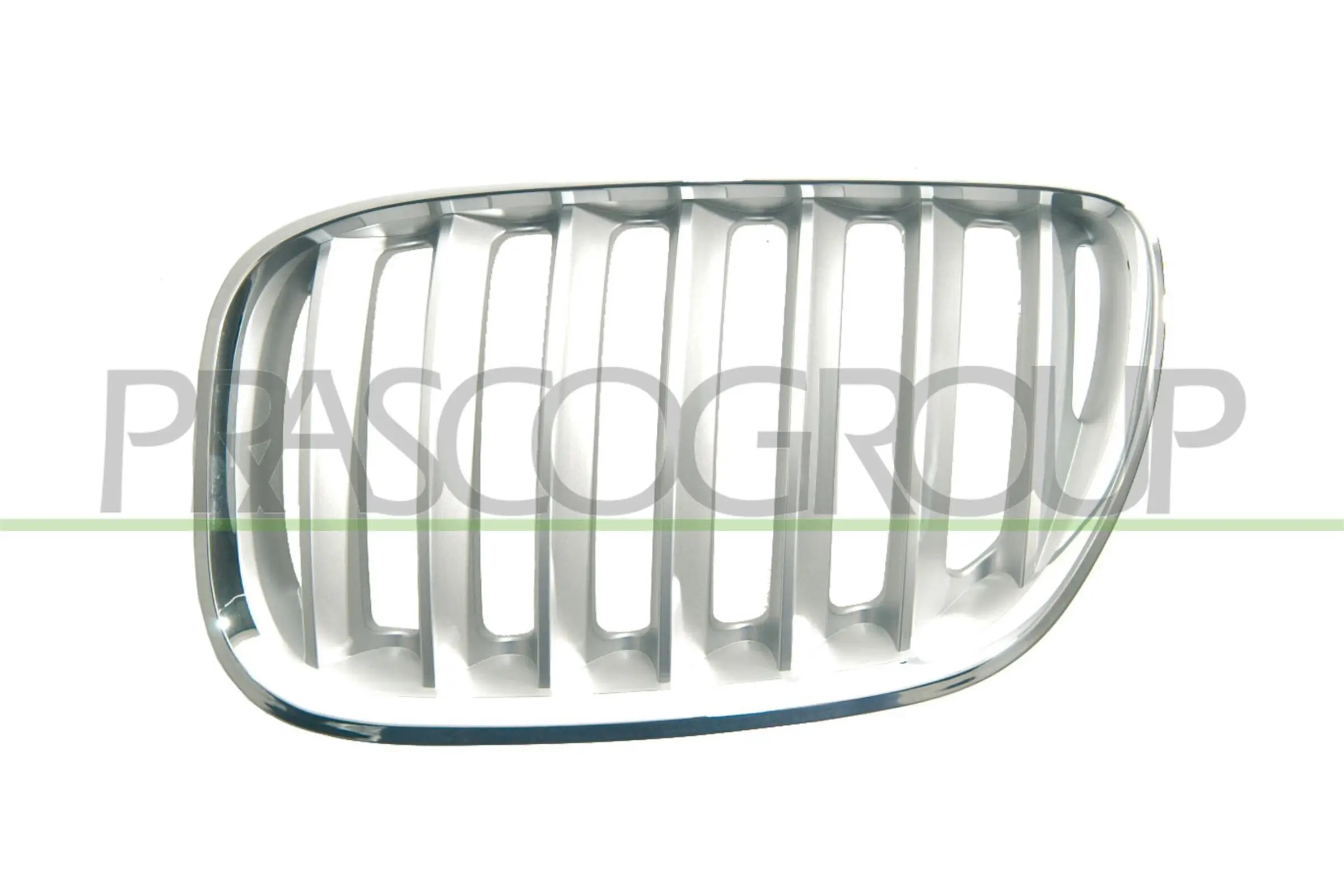Kühlergitter links PRASCO BM8202034