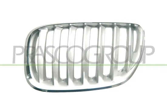 Kühlergitter links PRASCO BM8202034 Bild Kühlergitter links PRASCO BM8202034