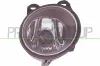 Nebelscheinwerfer links PRASCO BM8204424