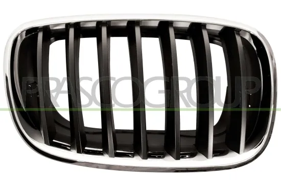 Kühlergitter rechts PRASCO BM8222003 Bild Kühlergitter rechts PRASCO BM8222003