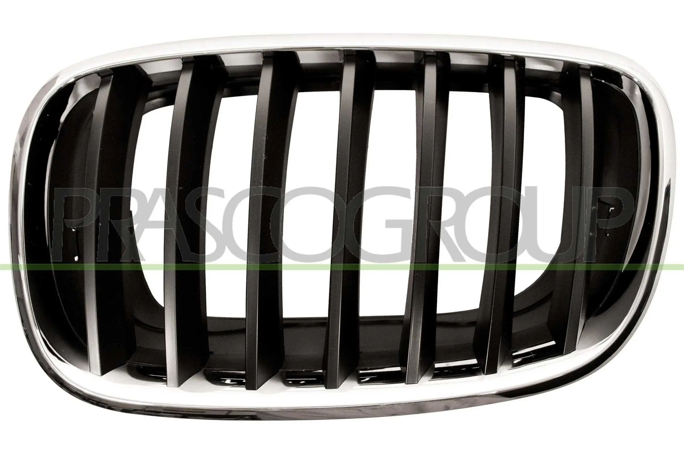 Kühlergitter links PRASCO BM8222004