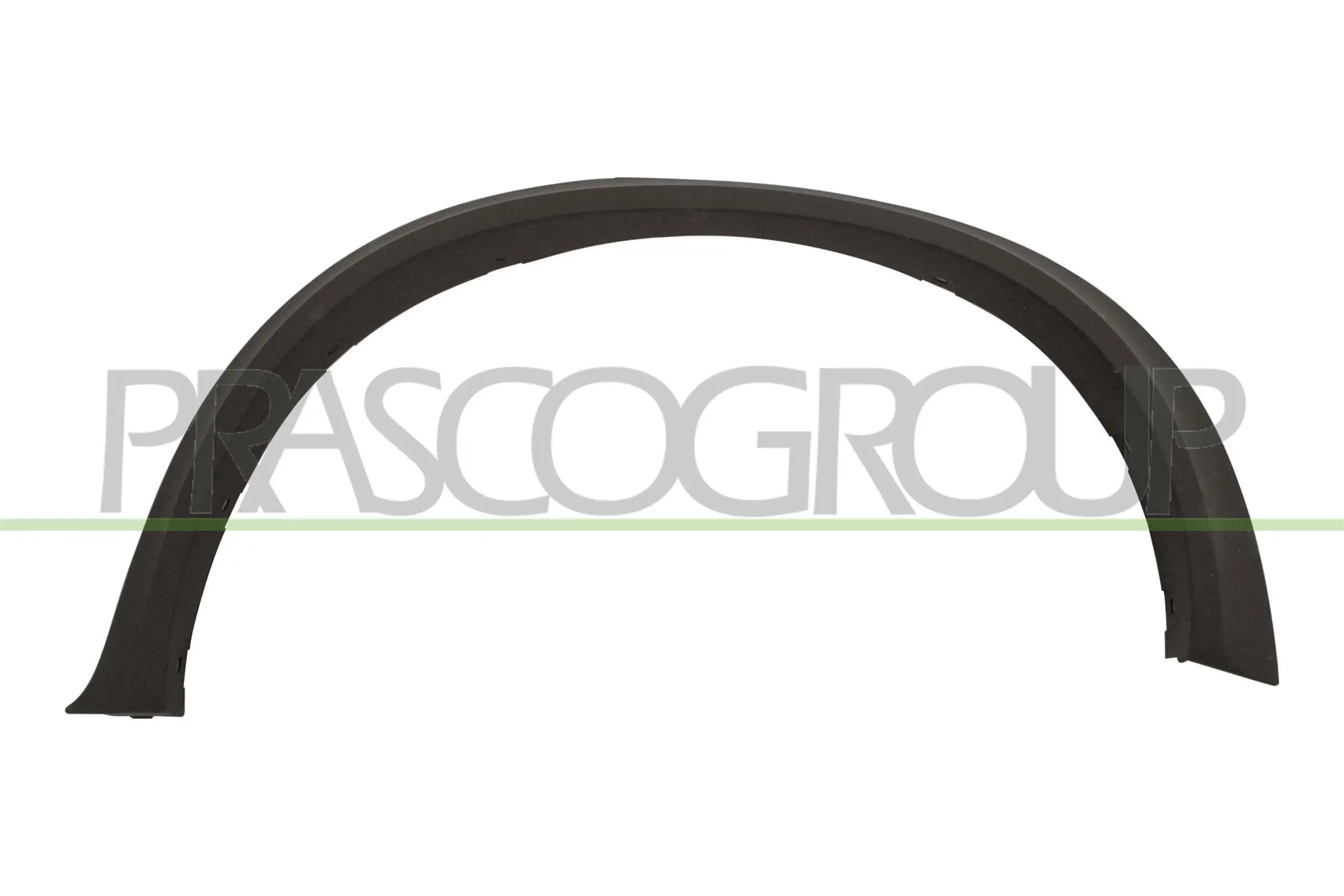 Zier-/Schutzleiste, Kotflügel hinten links PRASCO BM8241584