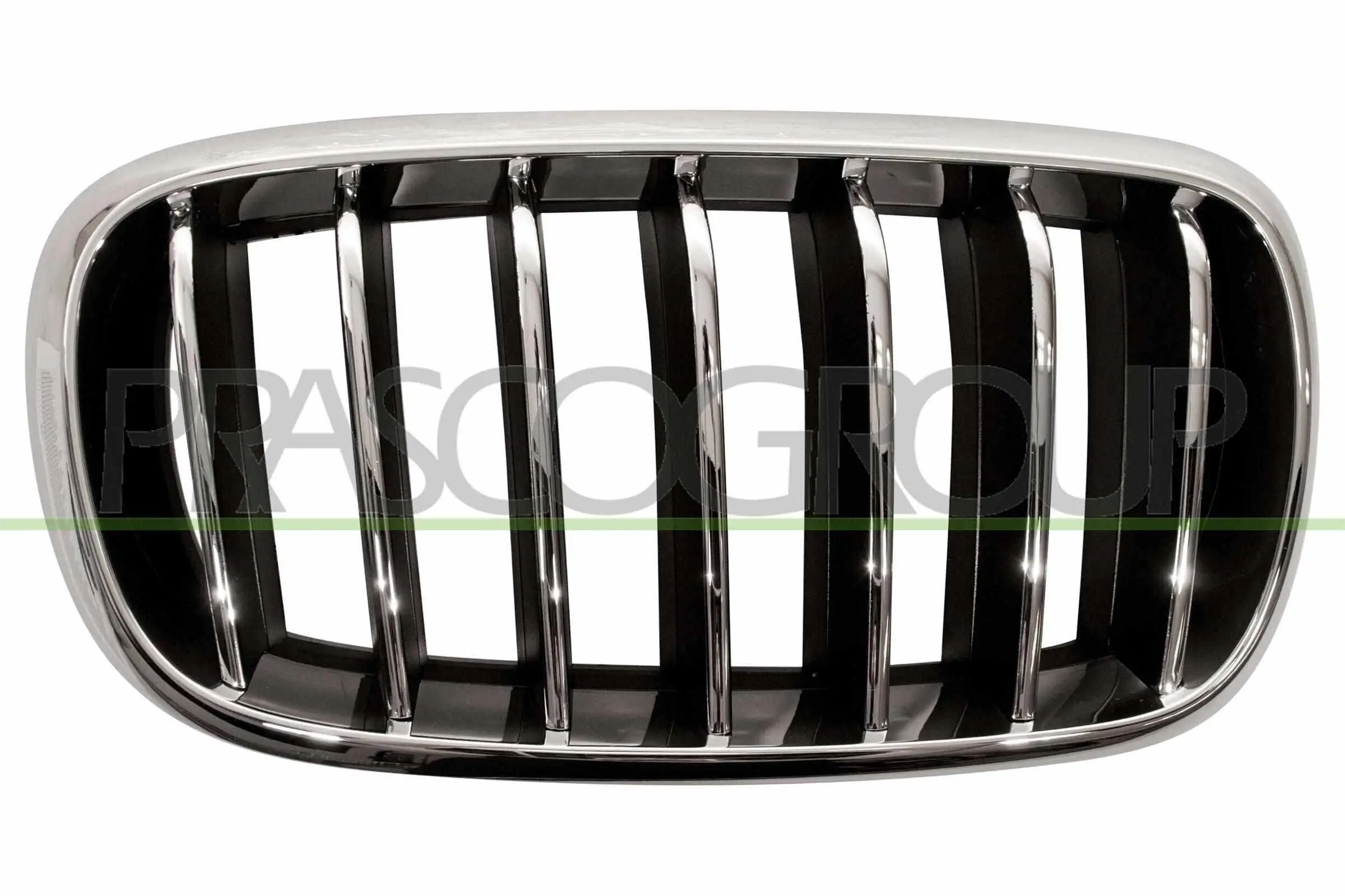 Kühlergitter rechts PRASCO BM8262013