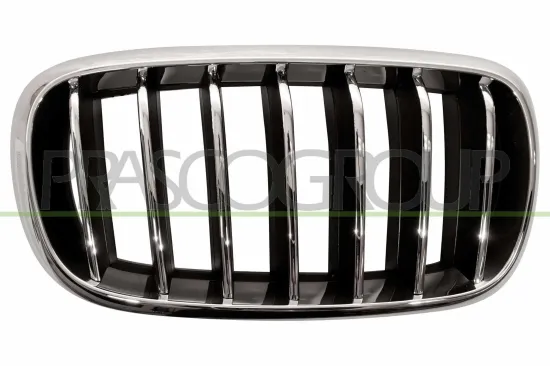 Kühlergitter rechts PRASCO BM8262013 Bild Kühlergitter rechts PRASCO BM8262013