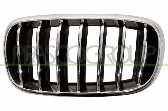 Kühlergitter links PRASCO BM8262014 Bild Kühlergitter links PRASCO BM8262014
