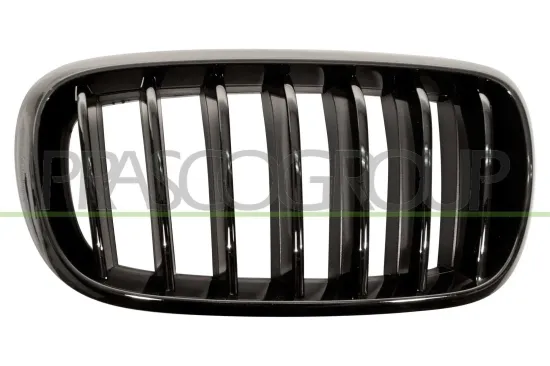 Kühlergitter rechts PRASCO BM8272003 Bild Kühlergitter rechts PRASCO BM8272003
