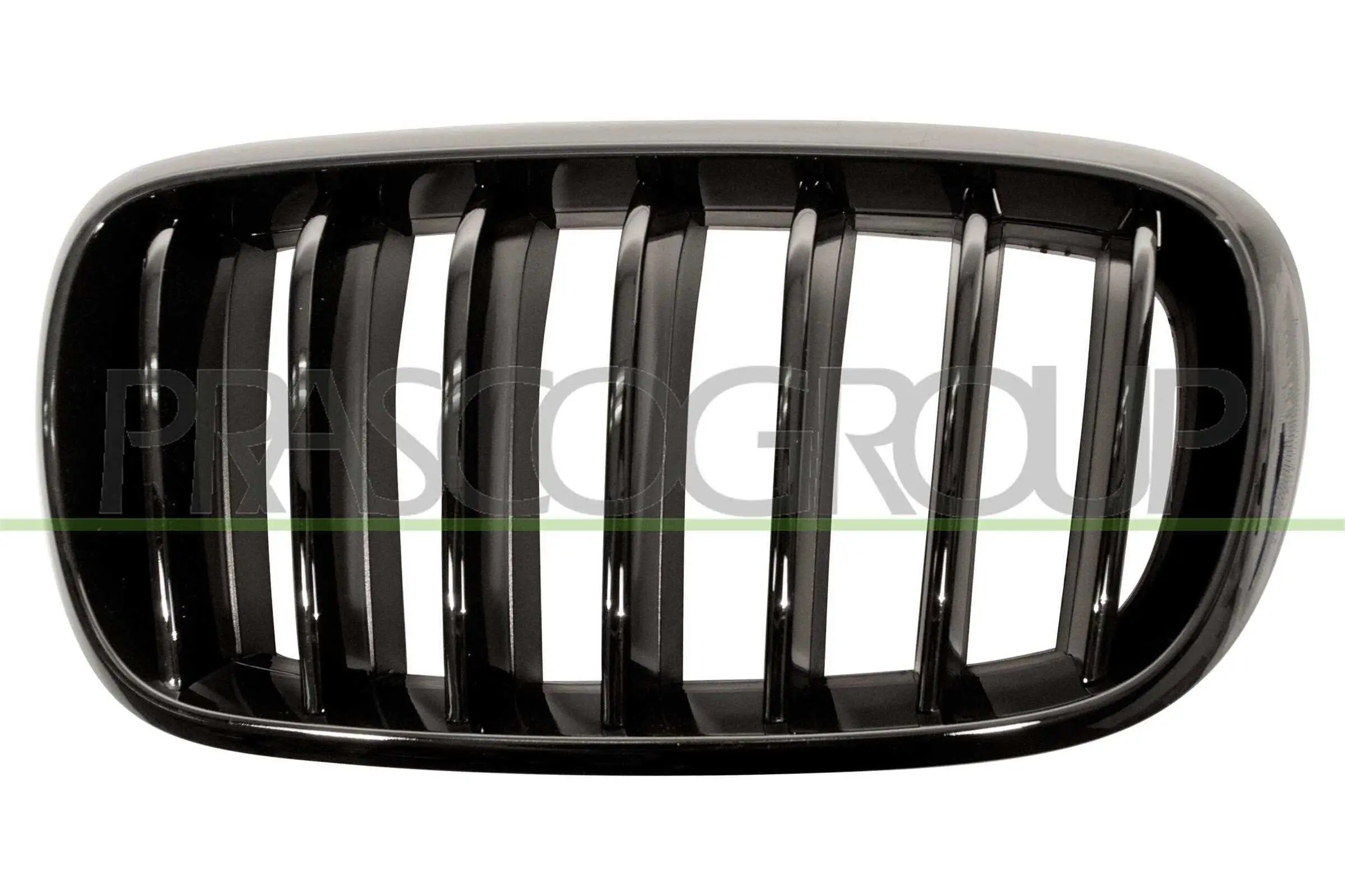 Kühlergitter links PRASCO BM8272004