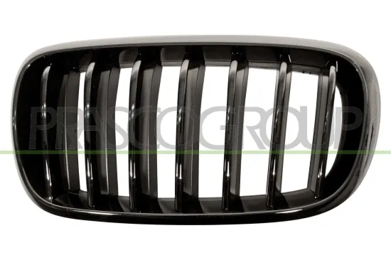 Kühlergitter links PRASCO BM8272004 Bild Kühlergitter links PRASCO BM8272004