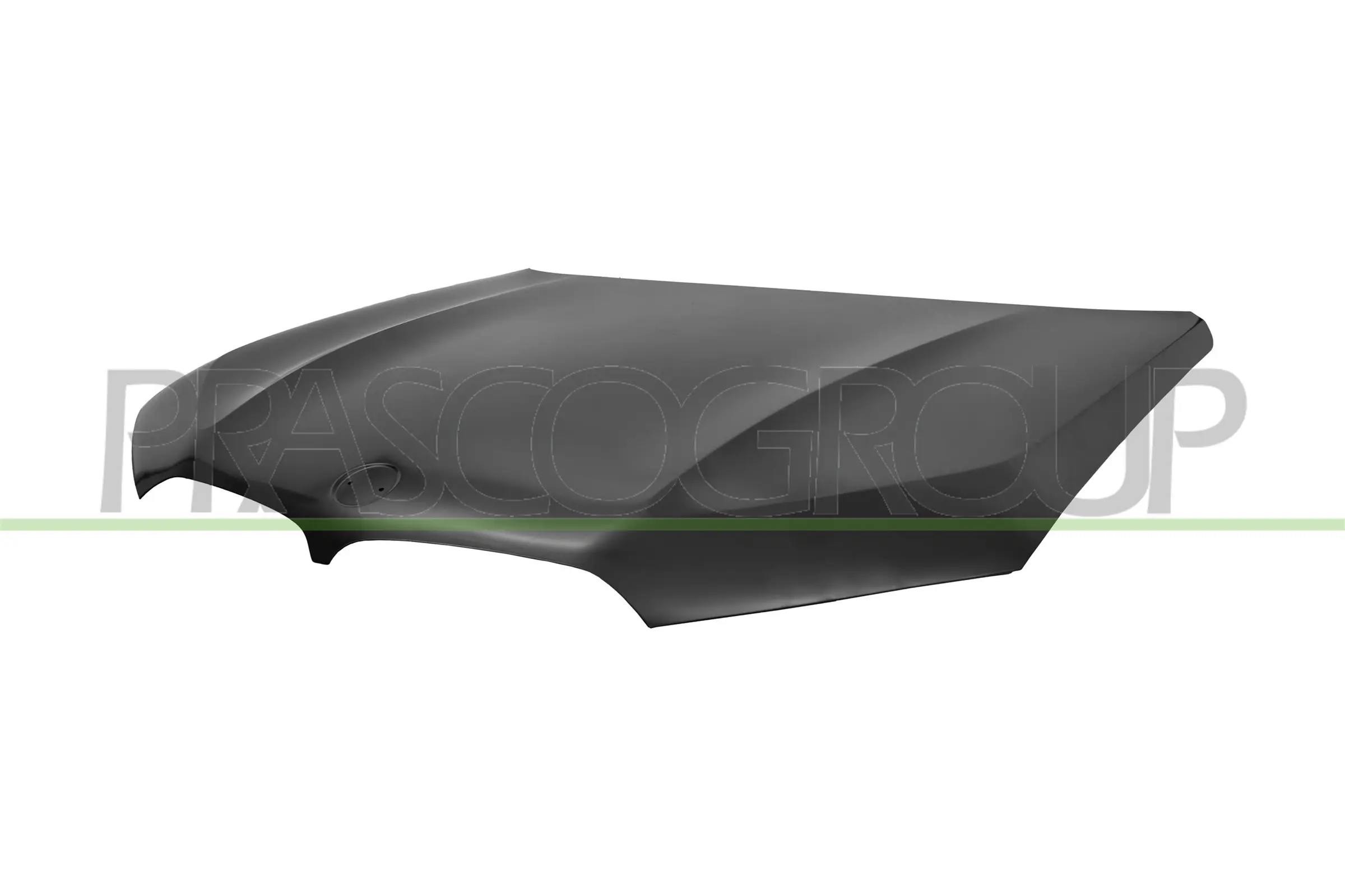 Motorhaube PRASCO BM8283110