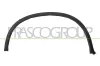 Verbreiterung, Kotfl&uuml;gel hinten links PRASCO BM8401584