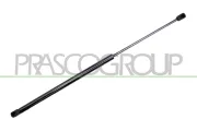 Gasfeder, Koffer-/Laderaum hinten links hinten rechts PRASCO CI0229055