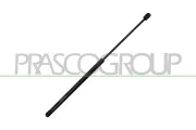 Gasfeder, Koffer-/Laderaum hinten links hinten rechts PRASCO CI2019056