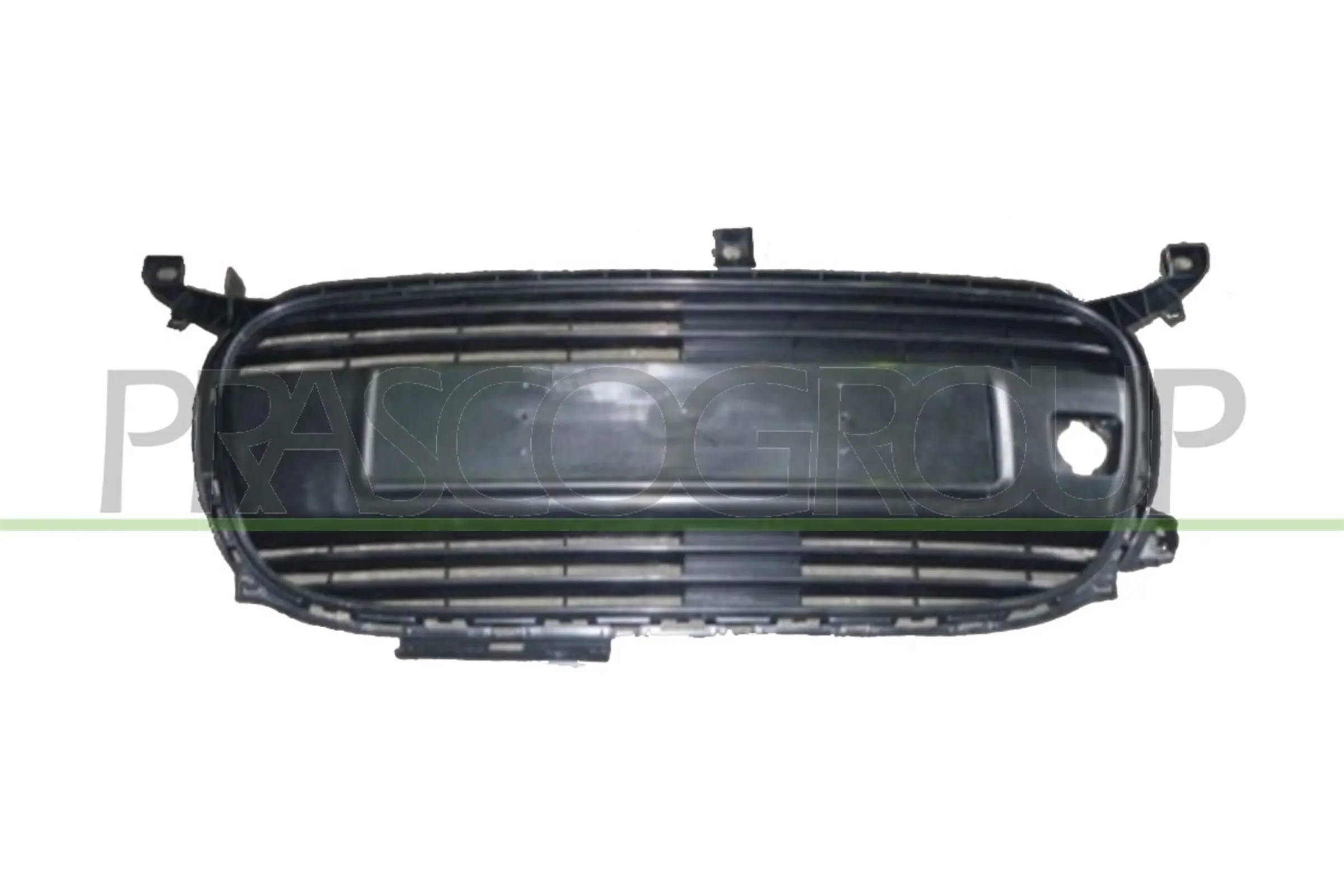 Kühlergitter PRASCO CI2032001