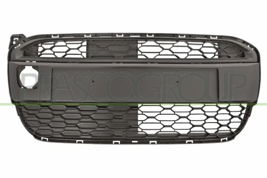 Lüftungsgitter, Stoßfänger vorne PRASCO CI2042120 Bild Lüftungsgitter, Stoßfänger vorne PRASCO CI2042120